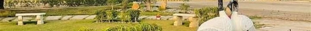 plot for sale in alraheem housing scheme bahawalpur